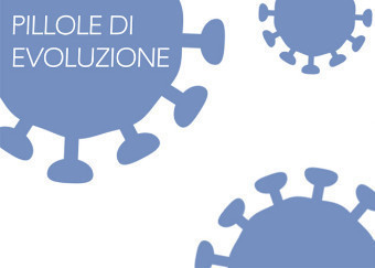 Origine ed evoluzione di SARS-CoV-2