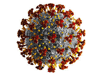 Coordinare e condividere la produzione di sequenze e dati genomici e trascrittomici per analisi bioinformatiche in tempi di emergenza