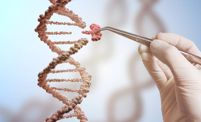 nobel-a-crispr-fondamentale-per-linnovazione-nelle-piante-coltivate-e-in-medicina-nella-terapia-genica-1602182266