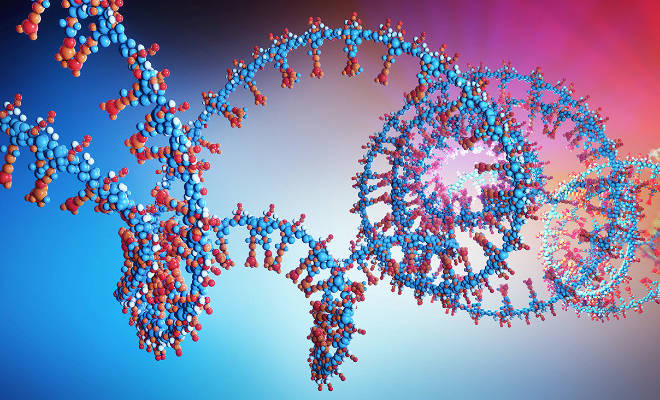 premio-falaschi-alla-migliore-pubblicazione-nel-campo-della-biologia-molecolare-degli-acidi-nucleici-al-via-le-candidature premio-falaschi-alla-migliore-pubblicazione-nel-campo-della-biologia-molecolare-degli-acidi-nucleici-al-via-le-candidature