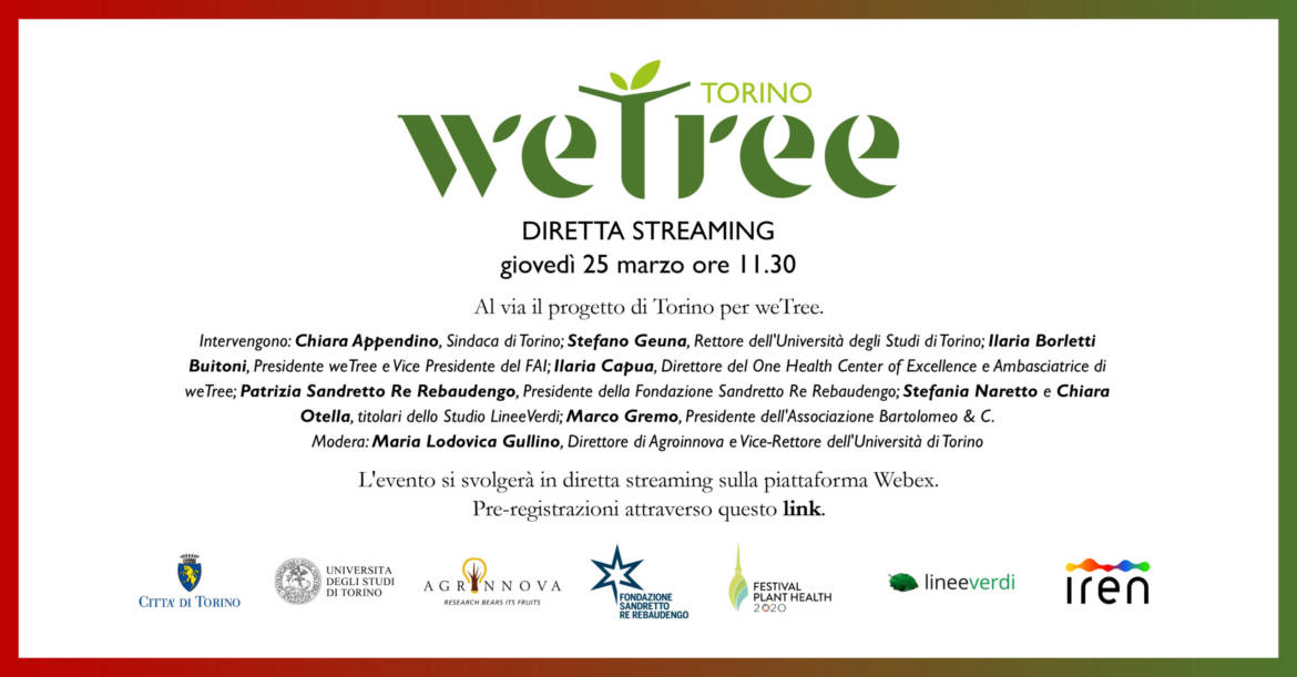 Wetree – diretta streaming.