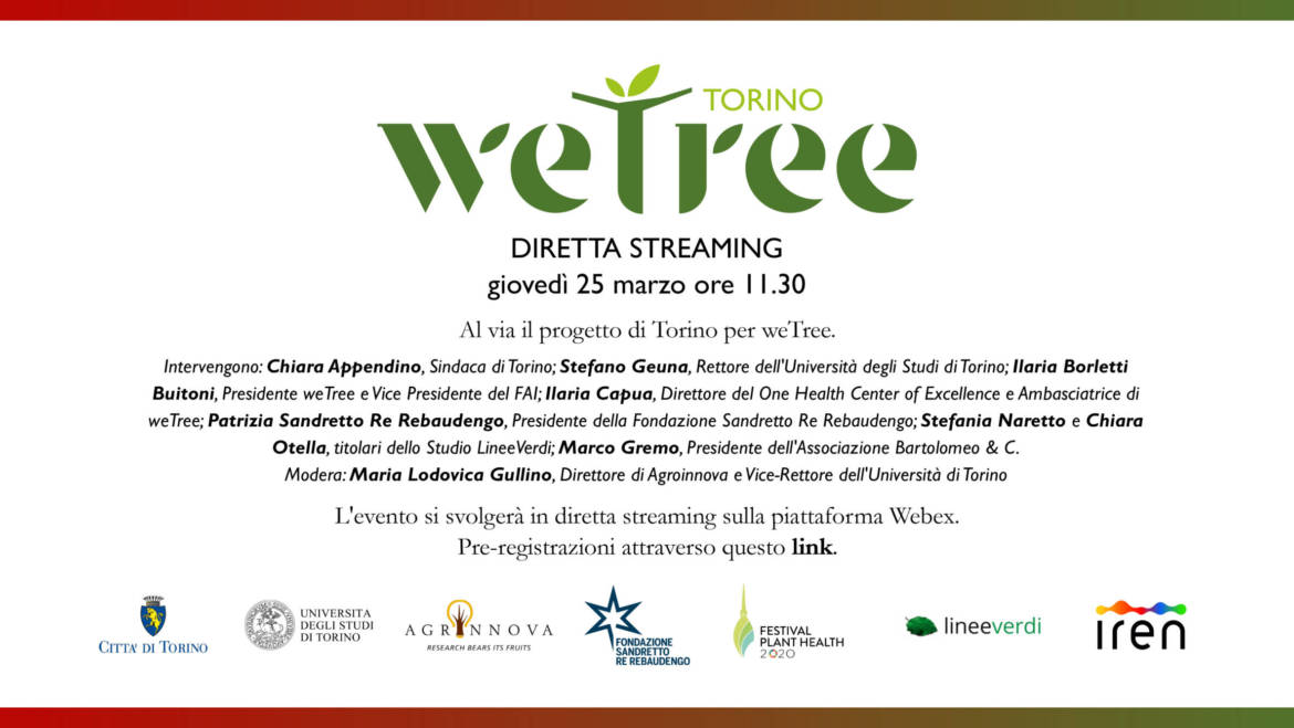 Wetree – diretta streaming.