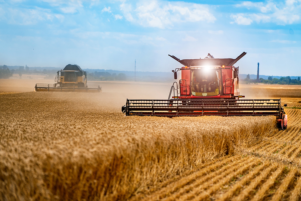 Le nuove tecniche genomiche in agricoltura e la speranza di una politica fondata sulla scienza