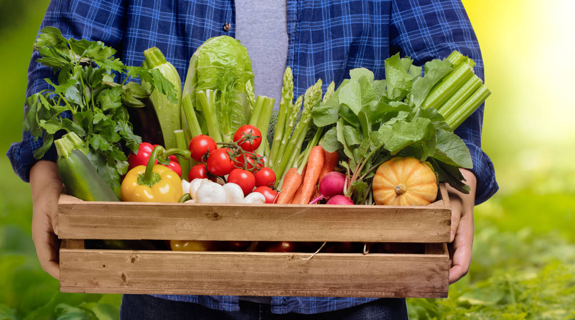 Firma la petizione per scongiurare l’approvazione della legge che favorirà fondi pubblici e insegnamenti in materia di biodinamica