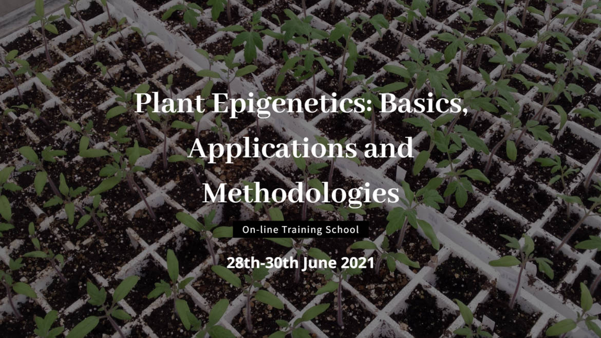 Plant Epigenetics: Basics, Applications and Methodologies. On-line training school