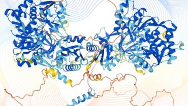 Biologia strutturale: l’algoritmo AlphaFold svela i dettagli atomici dell’intero proteoma umano