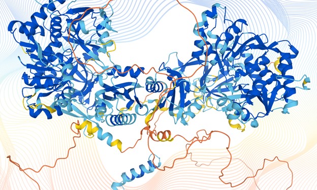 Biologia strutturale: l’algoritmo AlphaFold svela i dettagli atomici dell’intero proteoma umano