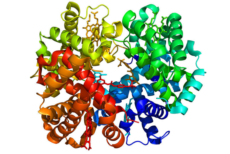 Su Protein Science “From Kuru to Alzheimer: A personal outlook”