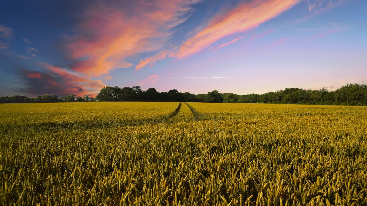 La FISV e la SIGA plaudono al risultato della Consultazione promossa dalla Commissione Europea sulle nuove tecnologie di evoluzione assistita in agricoltura