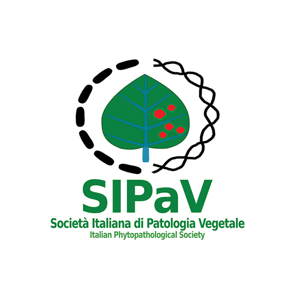 LOGO SIPAV