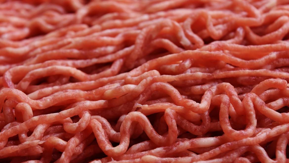 Perché è un disastro la legge che vieta la carne coltivata