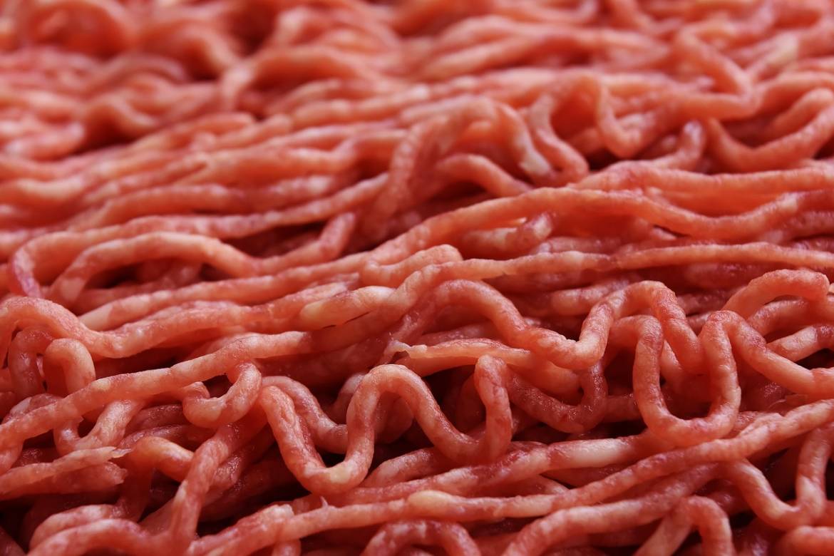 Perché è un disastro la legge che vieta la carne coltivata